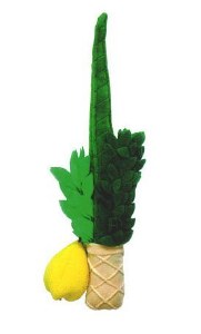 Picture of Plush Lulav & Esrog Childrens Play Set 18"